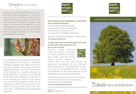 13.10.2026 Flyer Baumwissen Deckblatt 280
