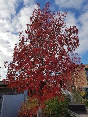 Platzhalter Foto folgt 370